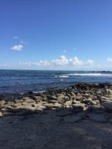 雨晴海岸