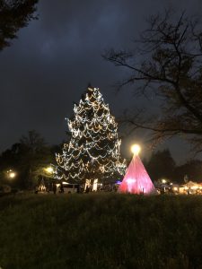 美しが丘公園でイルミネーション