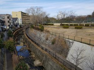 小川と公園