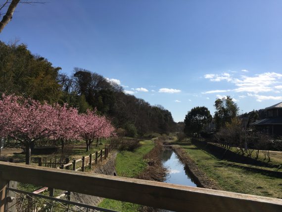 東山ふれあい樹林