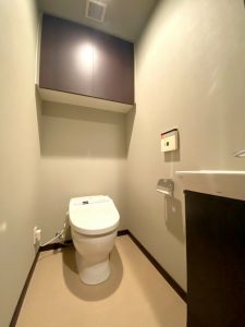 THE KOSUGI TOWERのトイレ