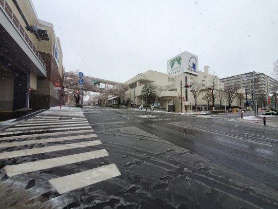 雪のたまプラーザ