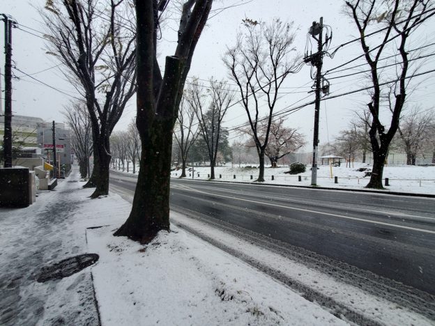 たまプラーザの雪