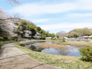 山田富士公園