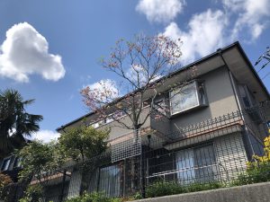 横浜市青葉区鉄町２世帯住宅