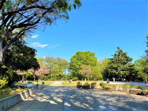 県立三ツ池公園