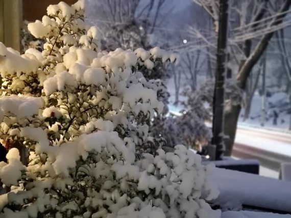 たまプラーザの雪