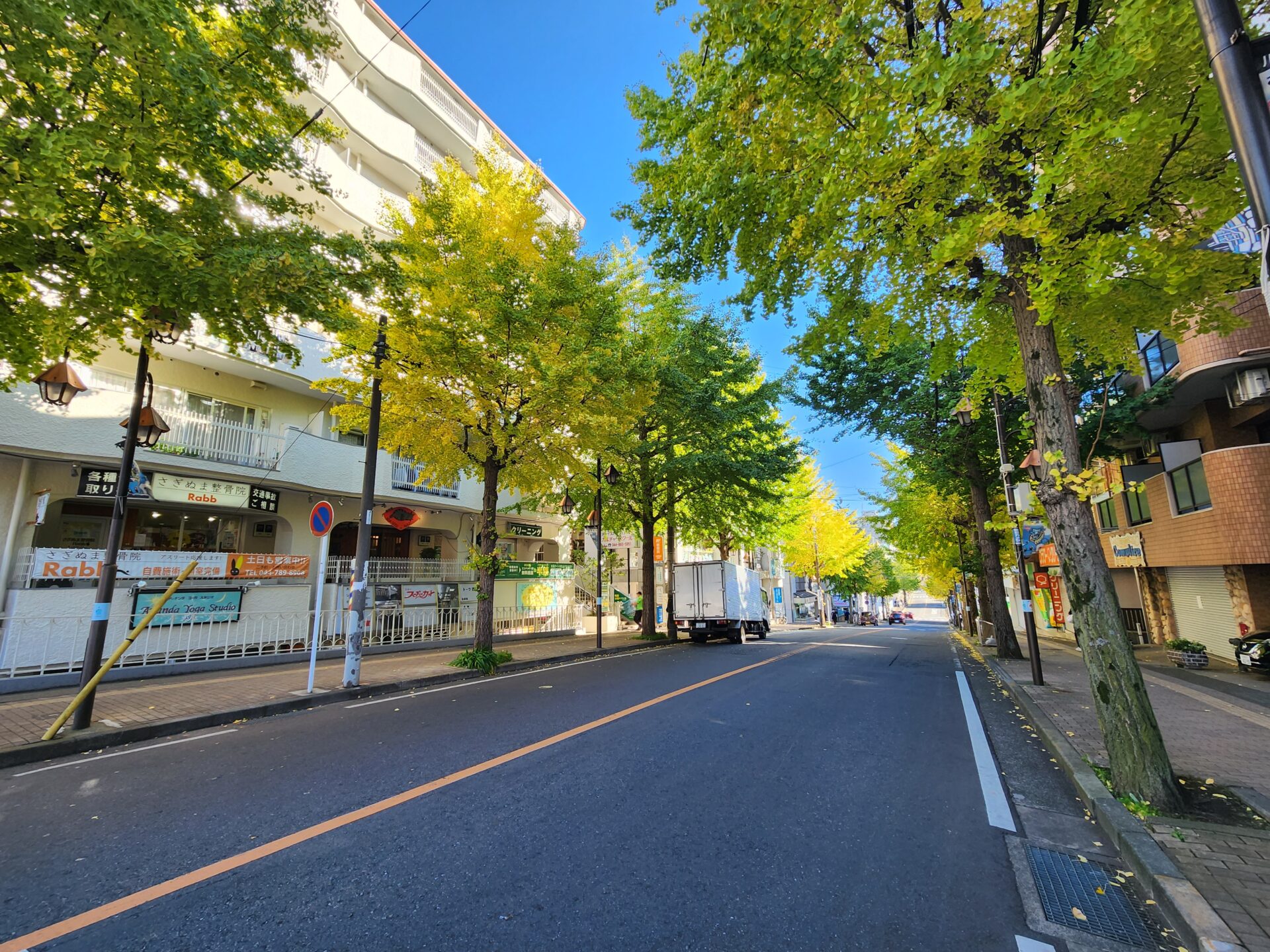 鷺沼駅街路樹